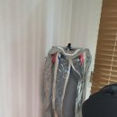 크린부평 이미지