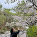 분당-300 | 분당피부과 써마지 vs 볼뉴머 리프팅 300샷 고민 후기