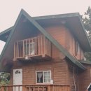 제주 조아통나무펜션 이미지