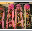 오현남 Daum카페