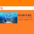 유별 이미지