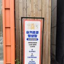 슬기로운멍생활 이미지