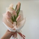 엠코헤리츠스튜디오