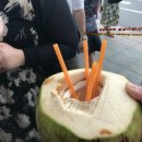 박 이미지