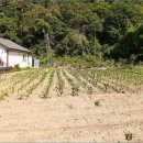 남면농장 이미지