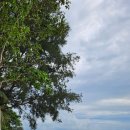 한들골프클럽 | 4-3. 일몰 맛집에서 노을 보며 마무리