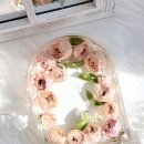 구로-구로-구로-848 이미지