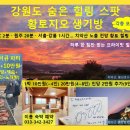 황토지오 - 870 | 황토지오
