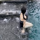 인터컨티넨탈 다낭 데이케이션, 왜 안해? 호텔영어, 예약 다 가르쳐줄게