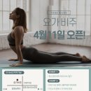 요가비주