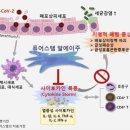 하남e편한메디컬의원 네이버블로그