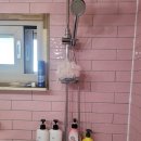 제주작은별 이미지