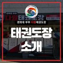 다원태권도장 이미지