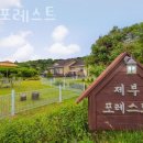 제부포레스트 이미지