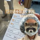 수정약품 | 대망의 인공수정1차 후기/통증이 왜 없지?/시술진행소요시간&amp;과정&amp;비용