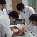 배명고등학교(내) 이미지