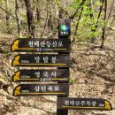 113차 산행 충북영동 천태산 이미지