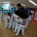 용인대 강 태권도 이미지