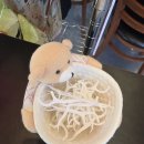 몽돌해물탕(대화점) | 일산 대화동 콩밭뜰 두부한상 맛집