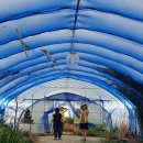 달성농장 이미지