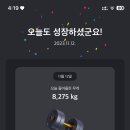 트랩어필 이미지