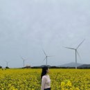 다원발전소 이미지