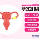 연제일신병원 (산부인과) 이미지