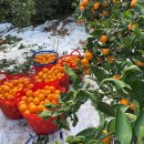 동식농장 이미지