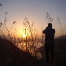 청풍초등학교 이미지