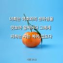 맛보아 - 제주시 | 맛보아