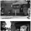 1950~ 60년대 서울 사진들 [펌] 이미지