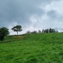 관동목장 이미지