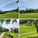 효가사거리 버스정류장 이미지