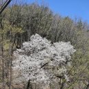 두포배수펌프장 이미지