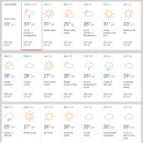 시드니(1) 이미지