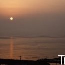 진도허브 이미지