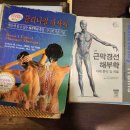 인앤양 에스테틱 네이버블로그