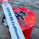 춘천로 1L | 야구, 축구, 바다와 함께한 말벌 아저씨 여름방학