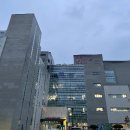마포중앙도서관 구내식당 이용 후기(5000원으로 해결하는 한 끼 식사)