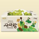 시우디자인센터