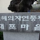 서귀포매일올레시장 이미지
