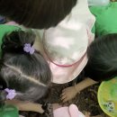 이레봄 이미지