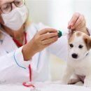 규범동물병원 이미지