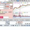 다고치네 네이버블로그