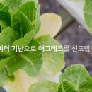 이지팜 이미지