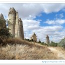 화이트 밸리 이미지