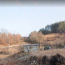 남해농장 Daum카페