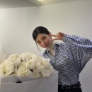 수지 이미지