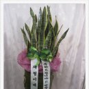 왕덕중한의원 이미지