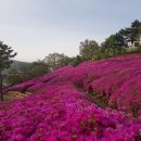수리산역 이미지